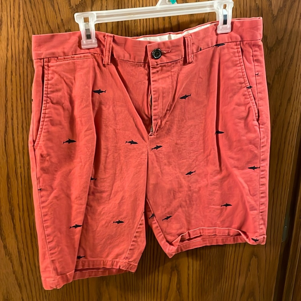Stylish shark shorts